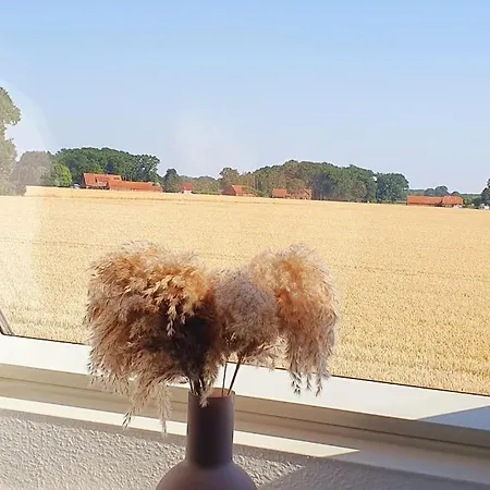Mitten In Der Apartment *